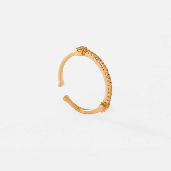 ANILLOS