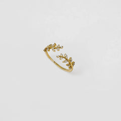 Anillo Victory Ajustable
